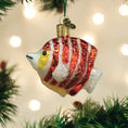 Load image into Gallery viewer, Peppermint Angelfish Ornament - Southlake Paws
