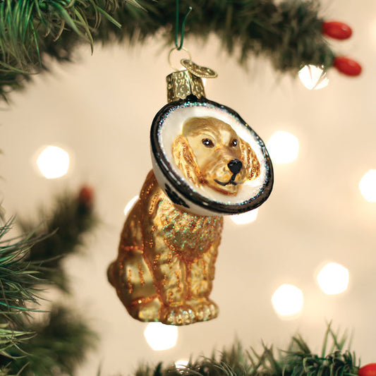 Cone Of Shame Dog Ornament - Southlake Paws
