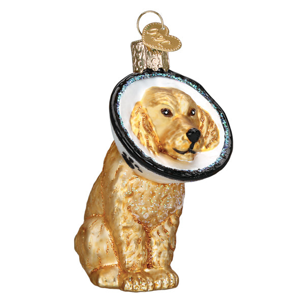 Cone Of Shame Dog Ornament - Southlake Paws