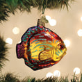 Load image into Gallery viewer, Discus Fish Ornament - Southlake Paws
