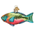 Load image into Gallery viewer, Parrotfish Ornament - Southlake Paws
