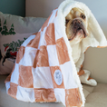 Load image into Gallery viewer, Check Me Out Dog Blanket
