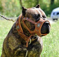 Load image into Gallery viewer, The "Eros" muzzle brown
