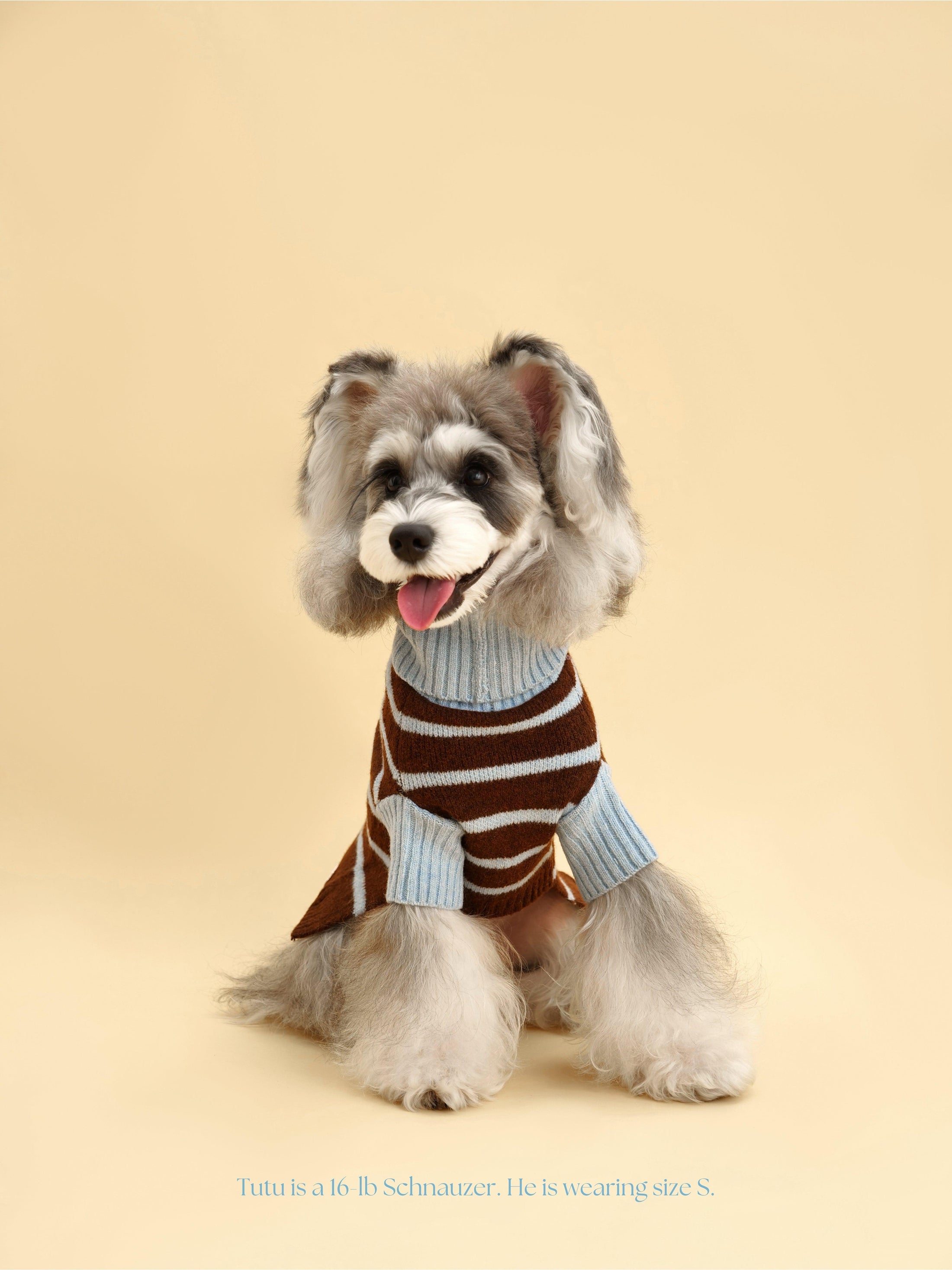 Bluebell Stripes Sweater 