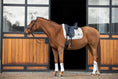 Load image into Gallery viewer, Snowlight Saddle Pad

