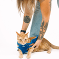 Load image into Gallery viewer, Atlas Cat Harness & Leash Set
