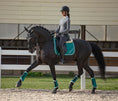 Load image into Gallery viewer, Teal Saddle Pad
