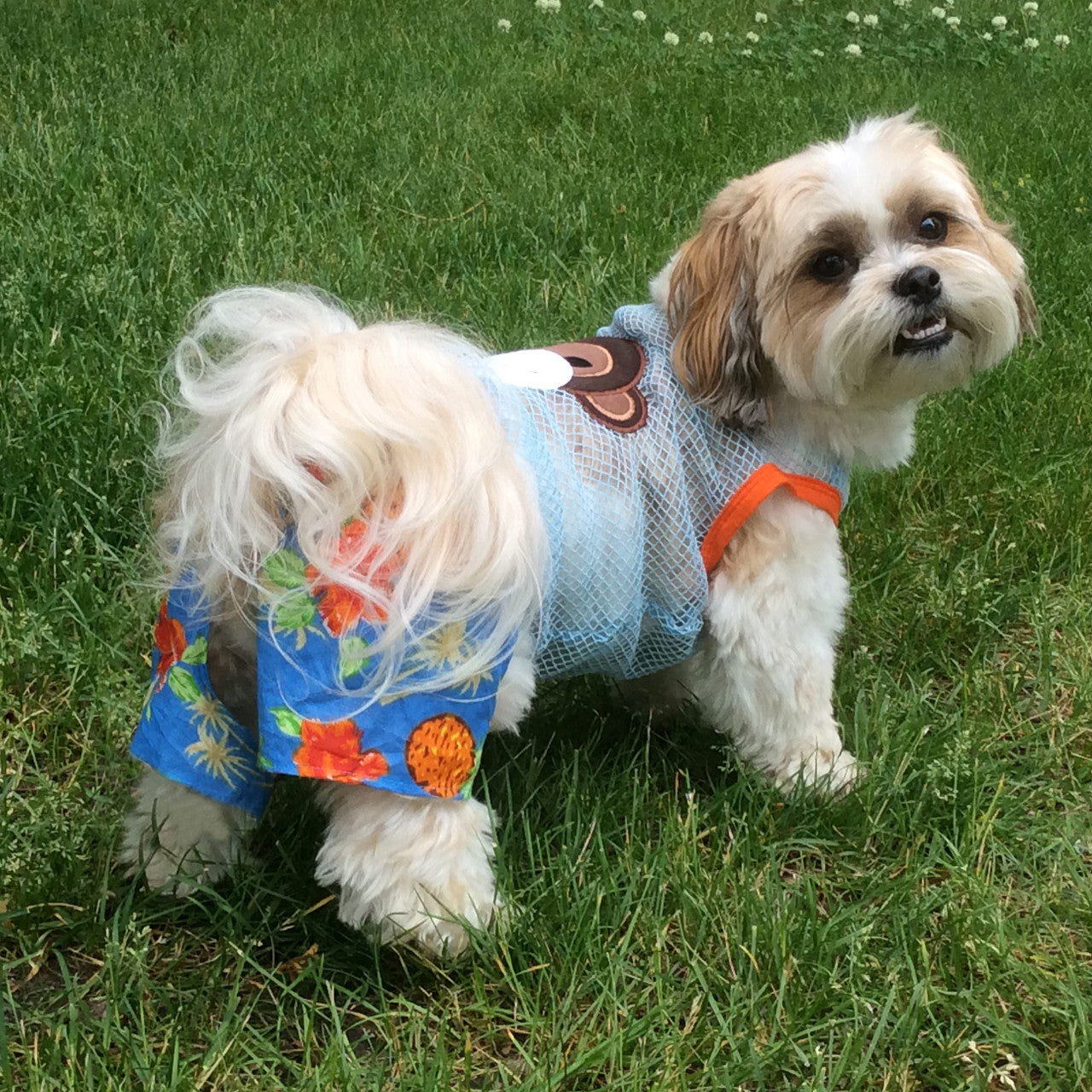The Lahaina Collection - Belly Boxers for Dogs alternate view
