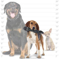 Load image into Gallery viewer, Silly Squeakers® - Mr. Poops & Mini Poops
