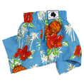 Load image into Gallery viewer, The Lahaina Collection - Belly Boxers for Dogs for dogs
