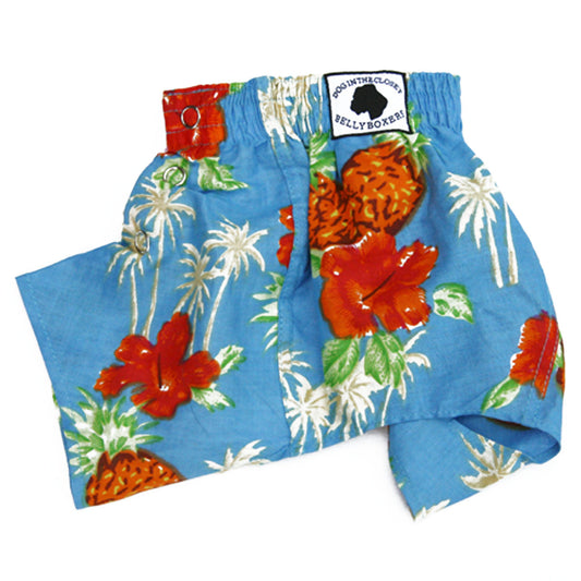 The Lahaina Collection - Belly Boxers for Dogs for dogs