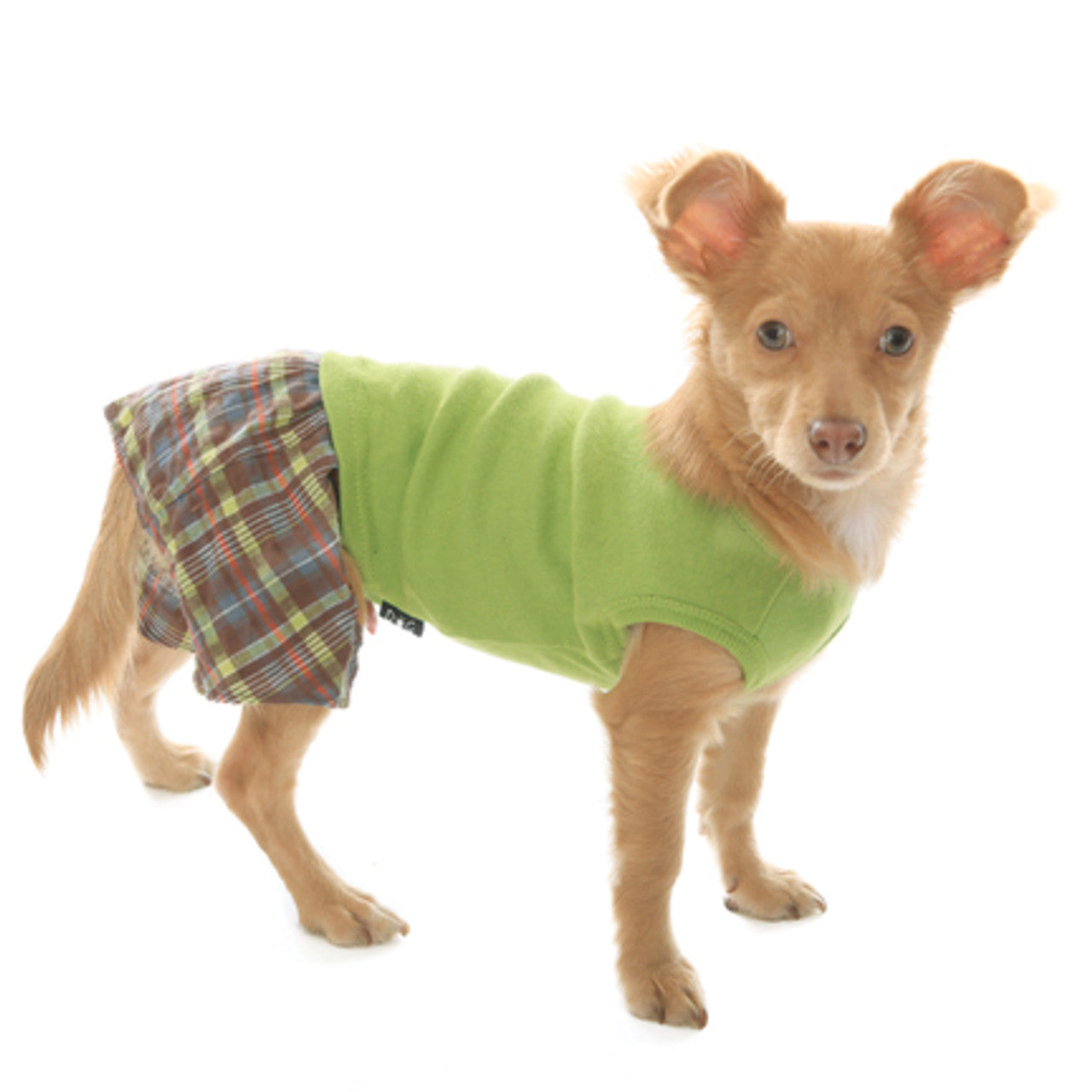 Brown & Lime Seersucker Boxer Shorts for Dogs alternate view