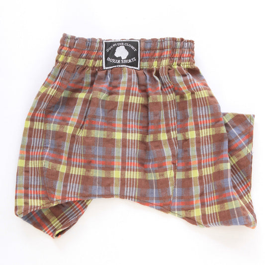 Brown & Lime Seersucker Boxer Shorts for Dogs for dogs