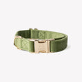 Load image into Gallery viewer, 'Green' - Velvet Dog Collar 
