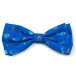 Chomp Collar & Lead Collection