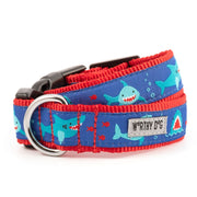 Chomp Collar & Lead Collection