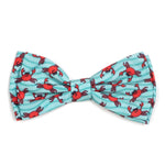 Crabs Collar & Lead Collection