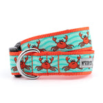Crabs Collar & Lead Collection