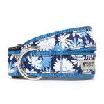 Flower Power Collar & Lead Collection