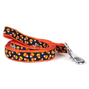 Candy Corn Collar and Lead Collection