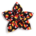 Candy Corn Collar and Lead Collection