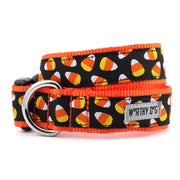 Candy Corn Collar and Lead Collection