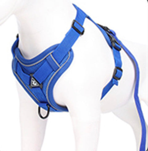 The Ultimate Dachshund Harness 
