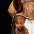 Load image into Gallery viewer, ExionPro Elegant Soft Padded Light Peach, Clear Crystal Browband
