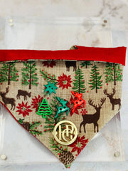 The Sleighin it Scarf