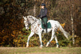 Load image into Gallery viewer, Southlake Paws Pine Grove Saddle Pad on a horse, rider in equestrian gear, autumn foliage in the background.

