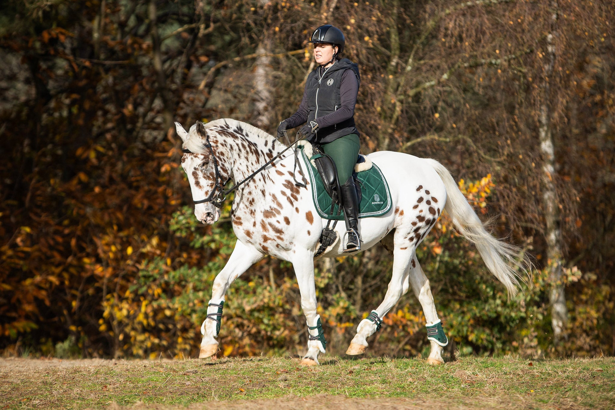 Southlake Paws Pine Grove Saddle Pad on a horse, rider in equestrian gear, autumn foliage in the background.
