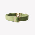 Load image into Gallery viewer, 'Green' - Velvet Dog Collar 
