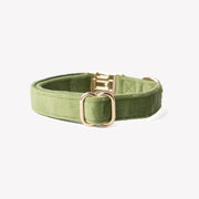 'Green' - Velvet Dog Collar 