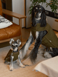 Load image into Gallery viewer, Reversible Dog Vest Jacket - Green Brown
