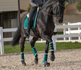 Load image into Gallery viewer, Teal Brushing Boots
