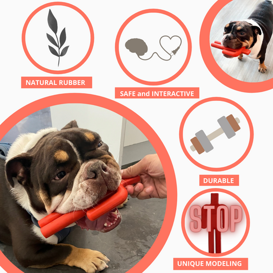 Dog Chew Toy - Southlake Paws