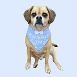 Birthday Bandana | Birthday Boy Dog Birthday |  Birthday Dog Bandana | Happy Birthday Bandana