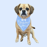 Birthday Bandana | Birthday Boy Dog Birthday |  Birthday Dog Bandana | Happy Birthday Bandana