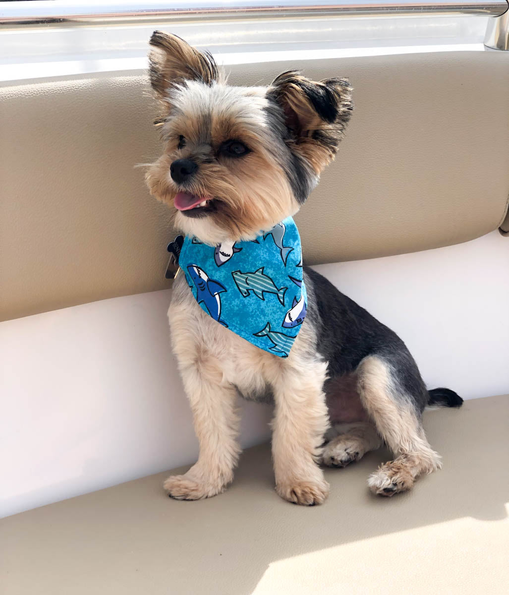 Shark Bandana | Shark Week | Nautical Bandana | Summer Bandana