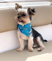 Shark Bandana | Shark Week | Nautical Bandana | Summer Bandana