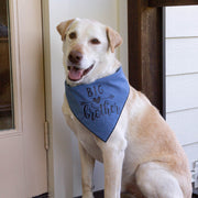 Wedding Bandana | Engagement Bandana, And So Our Adventure Begins, Denim Dog Bandana