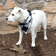 Buffalo Plaid Dog Bandana, Black & White Luxe Flannel