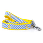 Lt Blue Stripe Rubber Duck Collar & Lead Collection