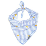 Lt Blue Stripe Rubber Duck Collar & Lead Collection