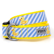 Lt Blue Stripe Rubber Duck Collar & Lead Collection