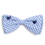 Gingham Whale Collar & Lead Collection