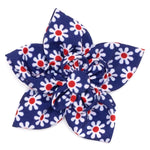 Daisies Collar & Lead Collection
