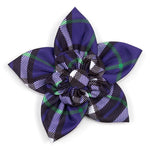 Bias Plaid Purple Collar & Lead Collection