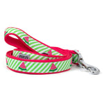Green Stripe Watermelon Collar & Lead Collection