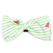 Green Stripe Watermelon Collar & Lead Collection